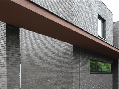 Moderne woning - Mark Raats Bouwbedrijf (Essen-Horendonk)